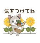 元気に夏スタンプ！【仔猫のぽんにゃん】（個別スタンプ：6）