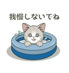 元気に夏スタンプ！【仔猫のぽんにゃん】（個別スタンプ：8）