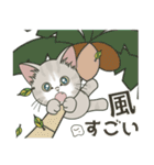 元気に夏スタンプ！【仔猫のぽんにゃん】（個別スタンプ：12）