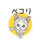 元気に夏スタンプ！【仔猫のぽんにゃん】（個別スタンプ：13）