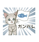 元気に夏スタンプ！【仔猫のぽんにゃん】（個別スタンプ：19）