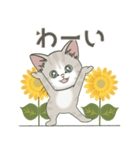 元気に夏スタンプ！【仔猫のぽんにゃん】（個別スタンプ：21）