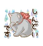 ずっと使える♡癒しねこの日常敬語♡（個別スタンプ：11）