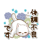 ずっと使える♡癒しねこの日常敬語♡（個別スタンプ：12）