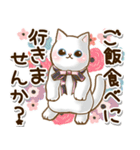 ずっと使える♡癒しねこの日常敬語♡（個別スタンプ：14）