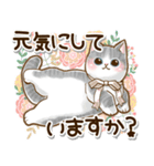 ずっと使える♡癒しねこの日常敬語♡（個別スタンプ：15）