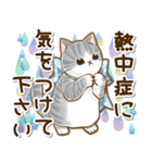 ずっと使える♡癒しねこの日常敬語♡（個別スタンプ：22）