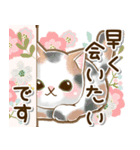 ずっと使える♡癒しねこの日常敬語♡（個別スタンプ：24）