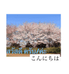 風景写真でご挨拶(タイ語と日本語)（個別スタンプ：1）