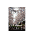 風景写真でご挨拶(タイ語と日本語)（個別スタンプ：2）