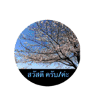 風景写真でご挨拶(タイ語と日本語)（個別スタンプ：3）