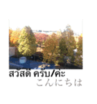 風景写真でご挨拶(タイ語と日本語)（個別スタンプ：5）