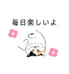 ニャーちゃんのイラストスタンプ(特別編)（個別スタンプ：5）