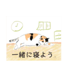 ニャーちゃんのイラストスタンプ(特別編)（個別スタンプ：7）