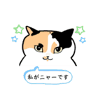 ニャーちゃんのイラストスタンプ(特別編)（個別スタンプ：9）