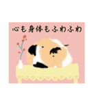 ニャーちゃんのイラストスタンプ(特別編)（個別スタンプ：13）
