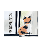 ニャーちゃんのイラストスタンプ(特別編)（個別スタンプ：15）