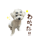 【第1弾】おもちの日常（個別スタンプ：7）