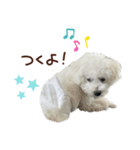 【第1弾】おもちの日常（個別スタンプ：12）