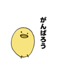 ひよこのシンプルスタンプ2（個別スタンプ：18）