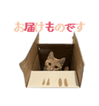 ろいちょのスタンプ2（個別スタンプ：4）