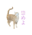 ろいちょのスタンプ2（個別スタンプ：10）