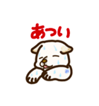 白柴犬ちびキャラ夏スタンプ（個別スタンプ：16）