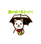 白柴犬ちびキャラ夏スタンプ（個別スタンプ：21）