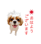 ルンルンのLINEスタンプ（個別スタンプ：1）