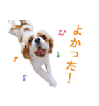 ルンルンのLINEスタンプ（個別スタンプ：11）