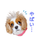 ルンルンのLINEスタンプ（個別スタンプ：12）