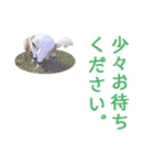 ルンルンのLINEスタンプ（個別スタンプ：15）