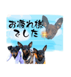 蘭丸先輩2（個別スタンプ：10）