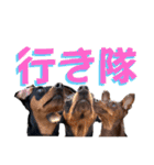 蘭丸先輩2（個別スタンプ：25）