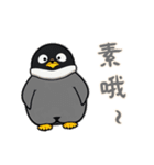 ペンギンベビーの生活 (漢字 Ver)（個別スタンプ：5）