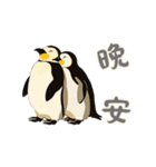 ペンギンベビーの生活 (漢字 Ver)（個別スタンプ：10）