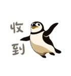 ペンギンベビーの生活 (漢字 Ver)（個別スタンプ：13）