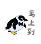 ペンギンベビーの生活 (漢字 Ver)（個別スタンプ：28）