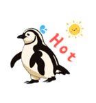 ペンギンベビーの生活 (English Ver)（個別スタンプ：11）