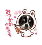 チロ坊1（個別スタンプ：2）