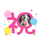 チロ坊1（個別スタンプ：9）