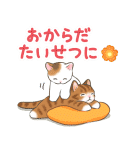 毎日使える☆飛び出す猫たちのスタンプ（個別スタンプ：22）