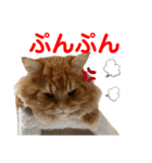 レオくんスタンプ挨拶1（個別スタンプ：3）