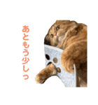 レオくんスタンプ挨拶1（個別スタンプ：8）