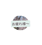 月山世良員冷尼寿六マル山本はんな壱（個別スタンプ：7）