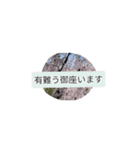 月山世良員冷尼寿六マル山本はんな壱（個別スタンプ：9）