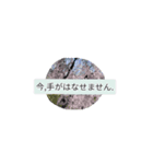 月山世良員冷尼寿nanaマル山本はんな弐（個別スタンプ：6）