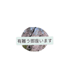 月山世良員冷尼寿nanaマル山本はんな弐（個別スタンプ：10）