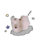 ここりりのすたんぷ（個別スタンプ：3）