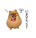 ここりりのすたんぷ（個別スタンプ：5）